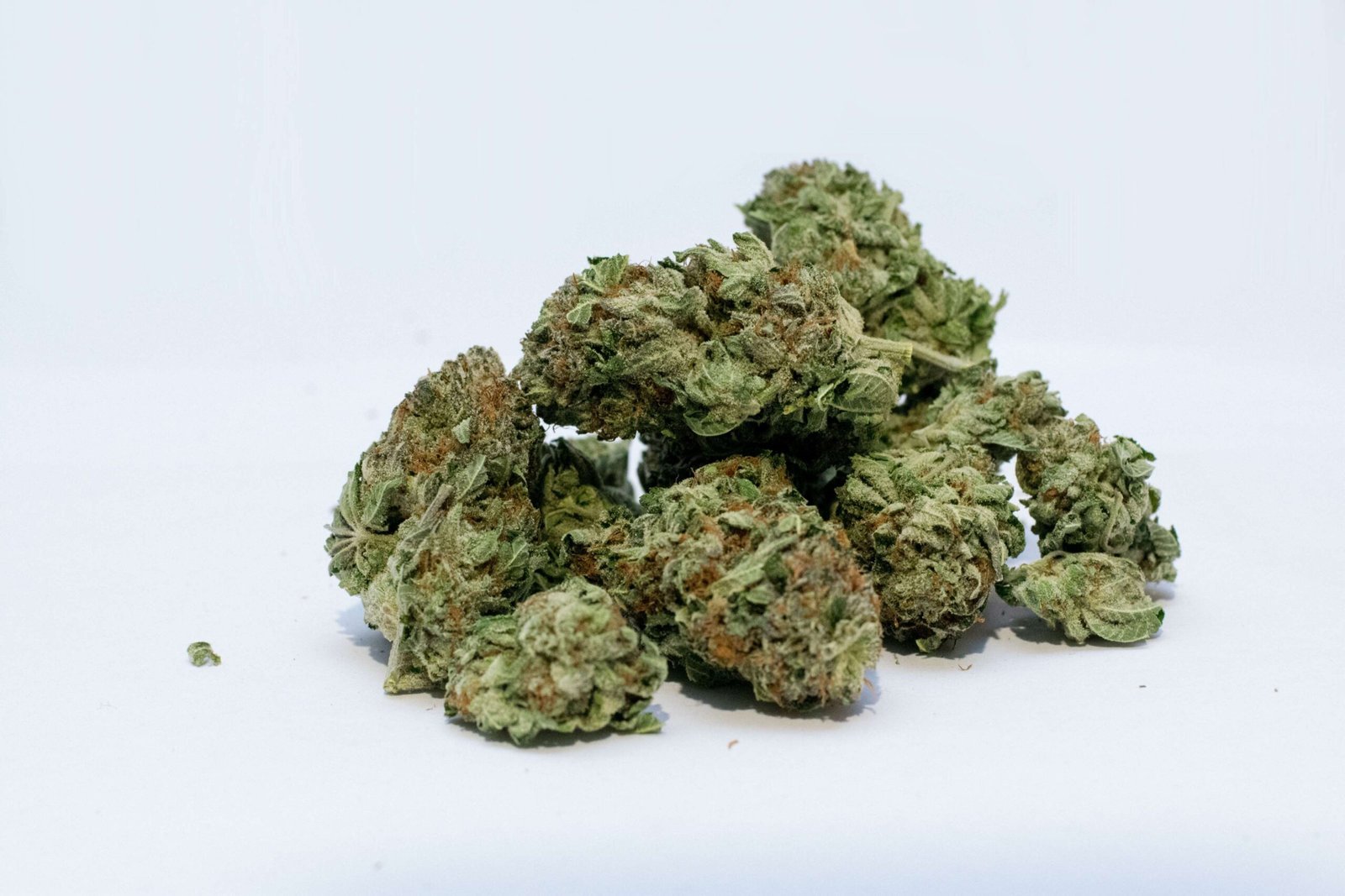 503351-bud-cannabis