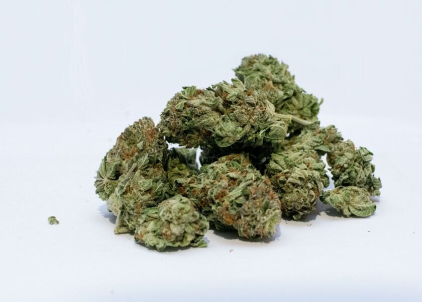 503351-bud-cannabis