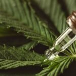 Cannabis Medicinal no Tratamento da Depressão: Uma Nova Abordagem Promissora