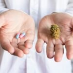 Como a Cannabis Auxilia Pacientes com Câncer: Um Guia