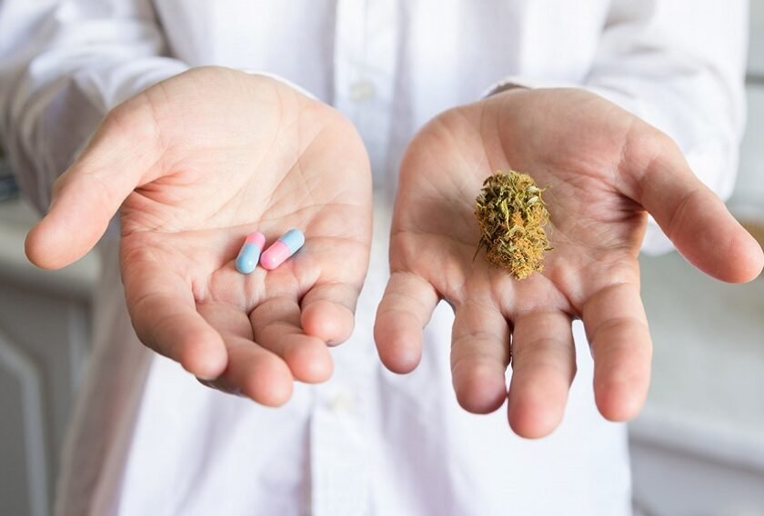 Doctor hand holding bud of medical cannabis and pills